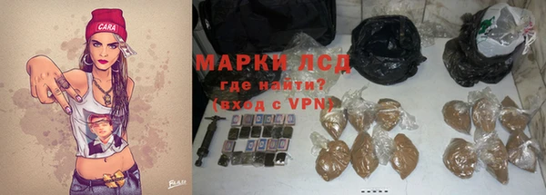 сатива Богданович