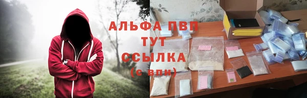СК Тында