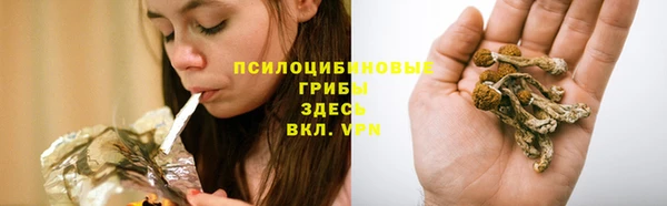мяу мяу мука Туринск
