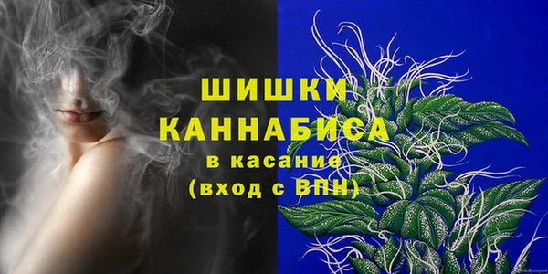 СК Тында