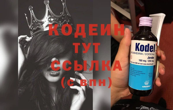 СК Тында