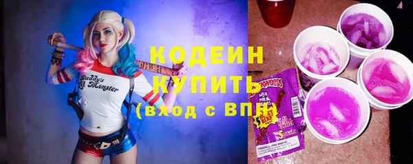хмурый Семилуки
