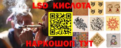 крисы Краснокаменск