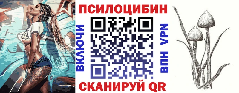 Псилоцибиновые грибы Psilocybe  Шатура 