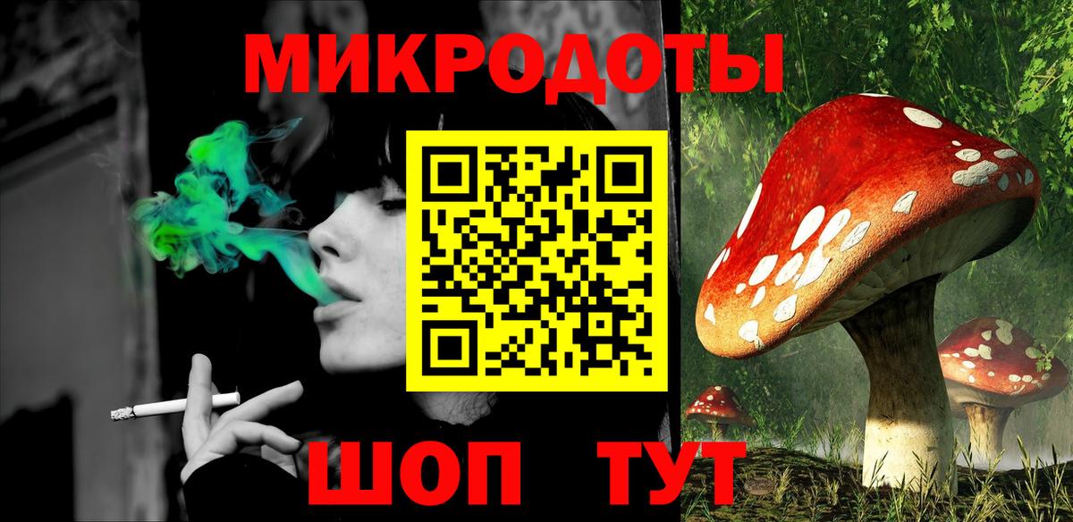 Галлюциногенные грибы Psilocybine cubensis  Вход с VPN  Псилоцибиновые грибы мухоморы  Шатура 