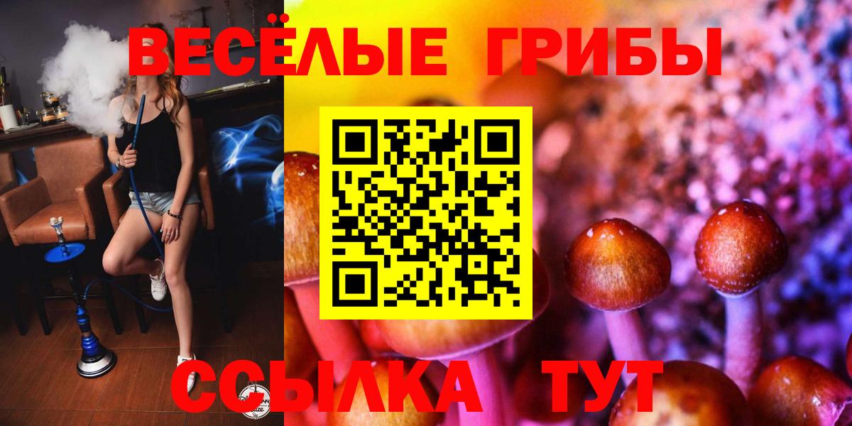 Галлюциногенные грибы Psilocybe Шатура